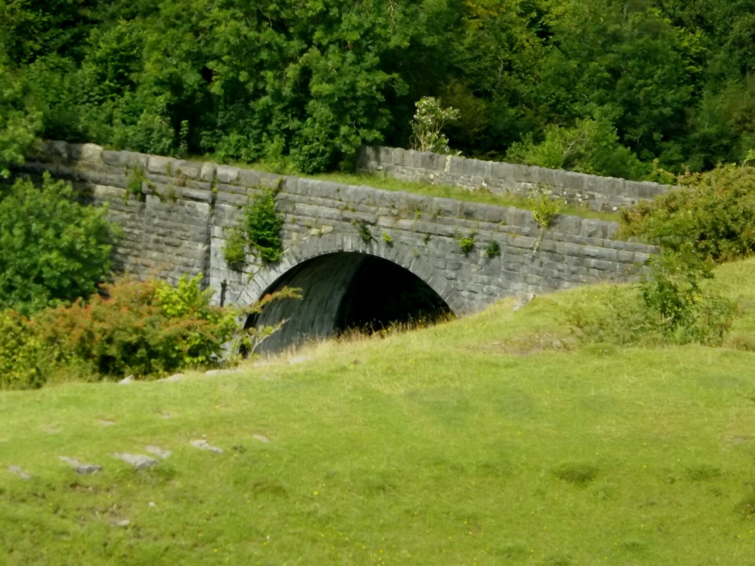 Abandoned Viaducts - Viaduct, Aqueduct, England, Ireland, Scotland, The photo, Nature, Abandoned, Longpost