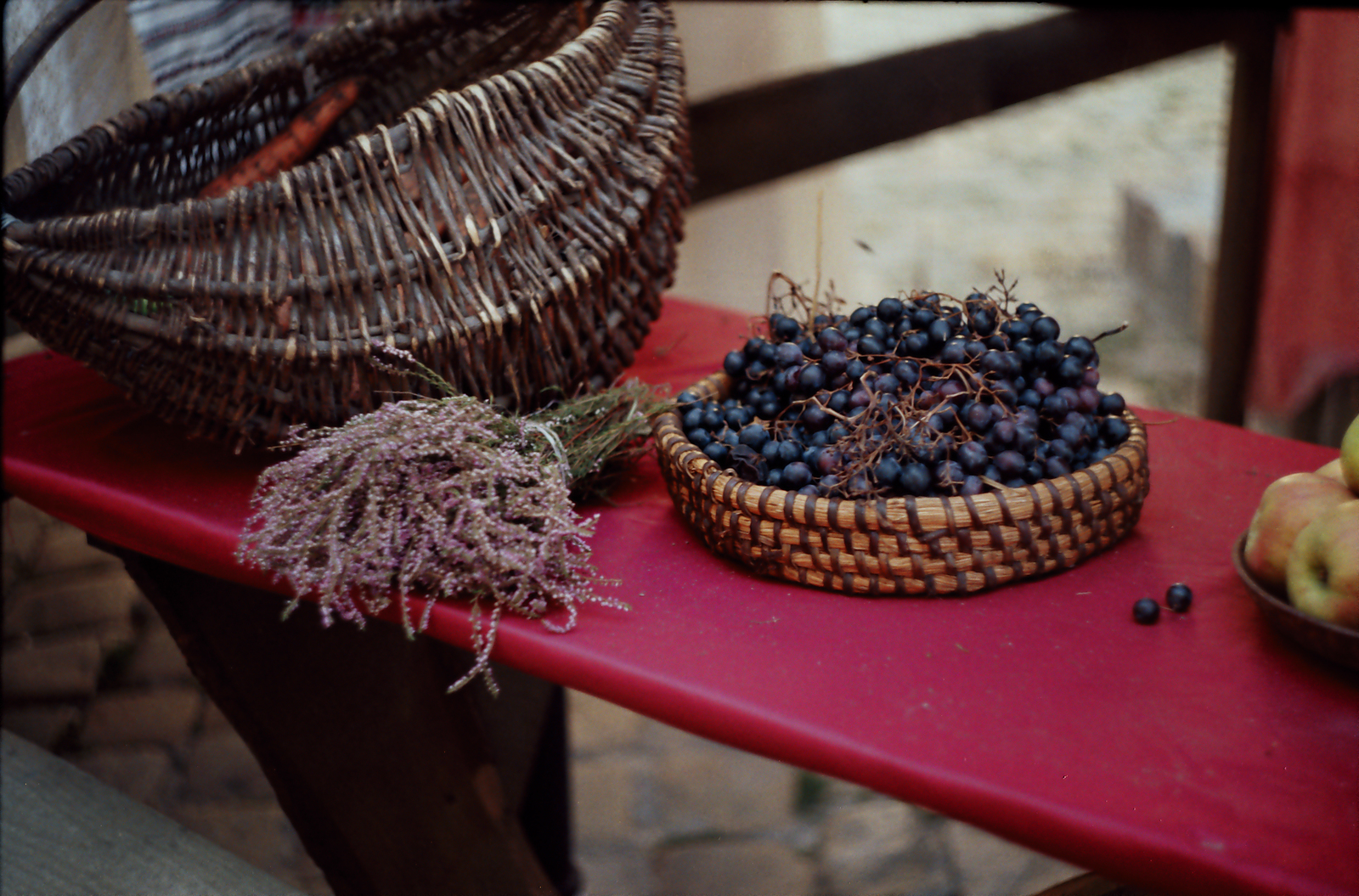 Photos from Lviv - My, The photo, My, Film, Longpost