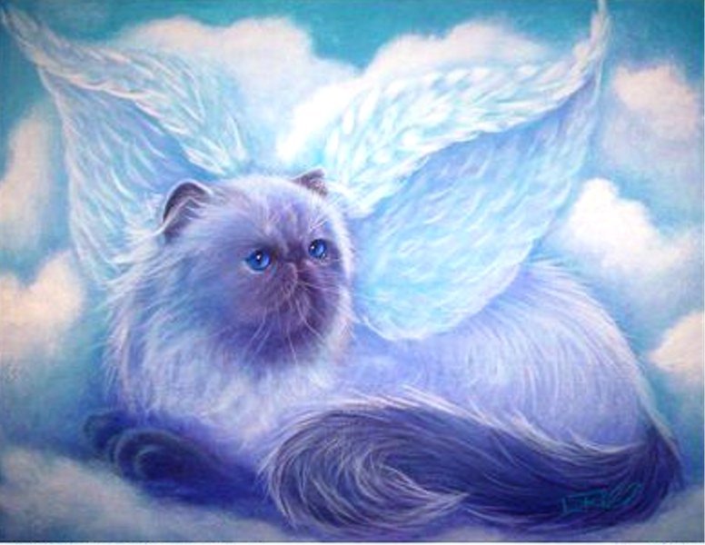 Seals... winged. - cat, Fantasy, , Longpost