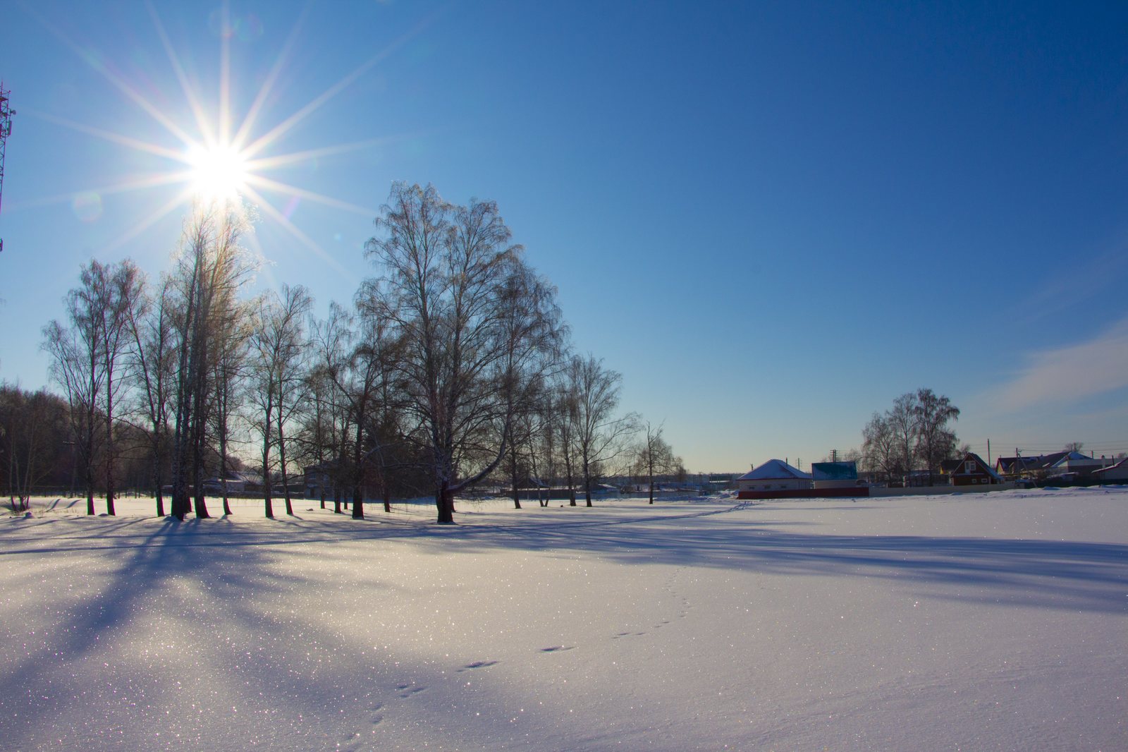 A little winter - My, Winter, Snow, Winter's tale, Longpost, The photo, Nature