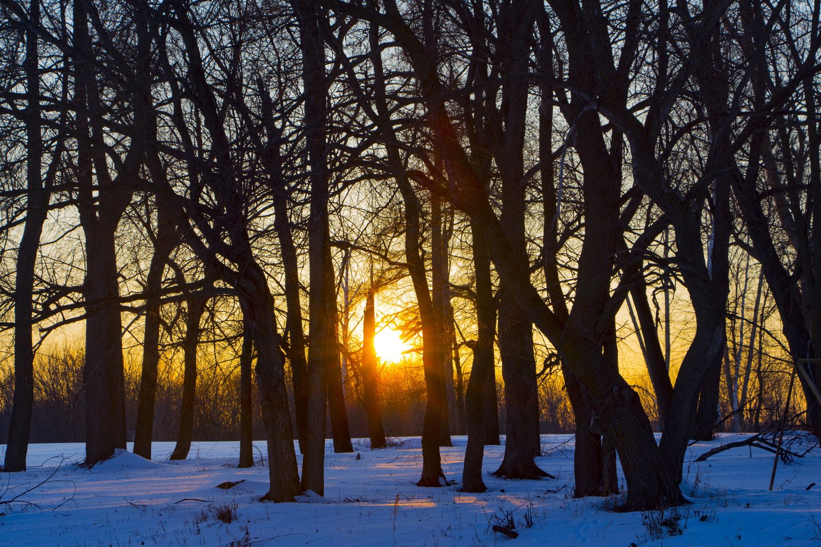 A little winter - My, Winter, Snow, Winter's tale, Longpost, The photo, Nature