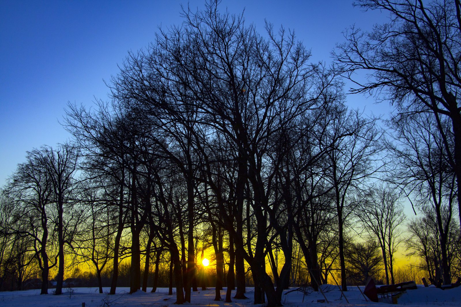 A little winter - My, Winter, Snow, Winter's tale, Longpost, The photo, Nature