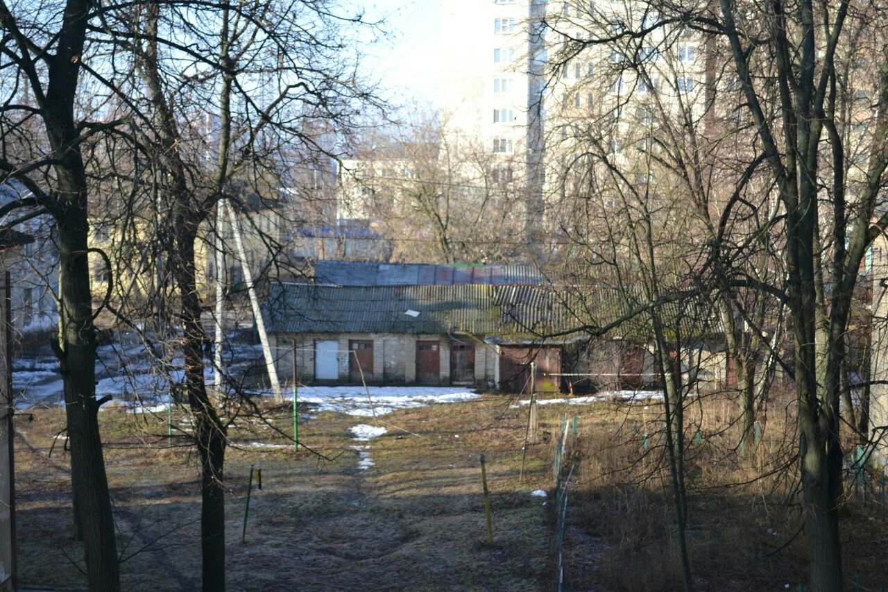 Orlovsky courtyard - My, Eagle, Orel city, Nature, The photo, Nikon, Courtyard, View from the window, Longpost