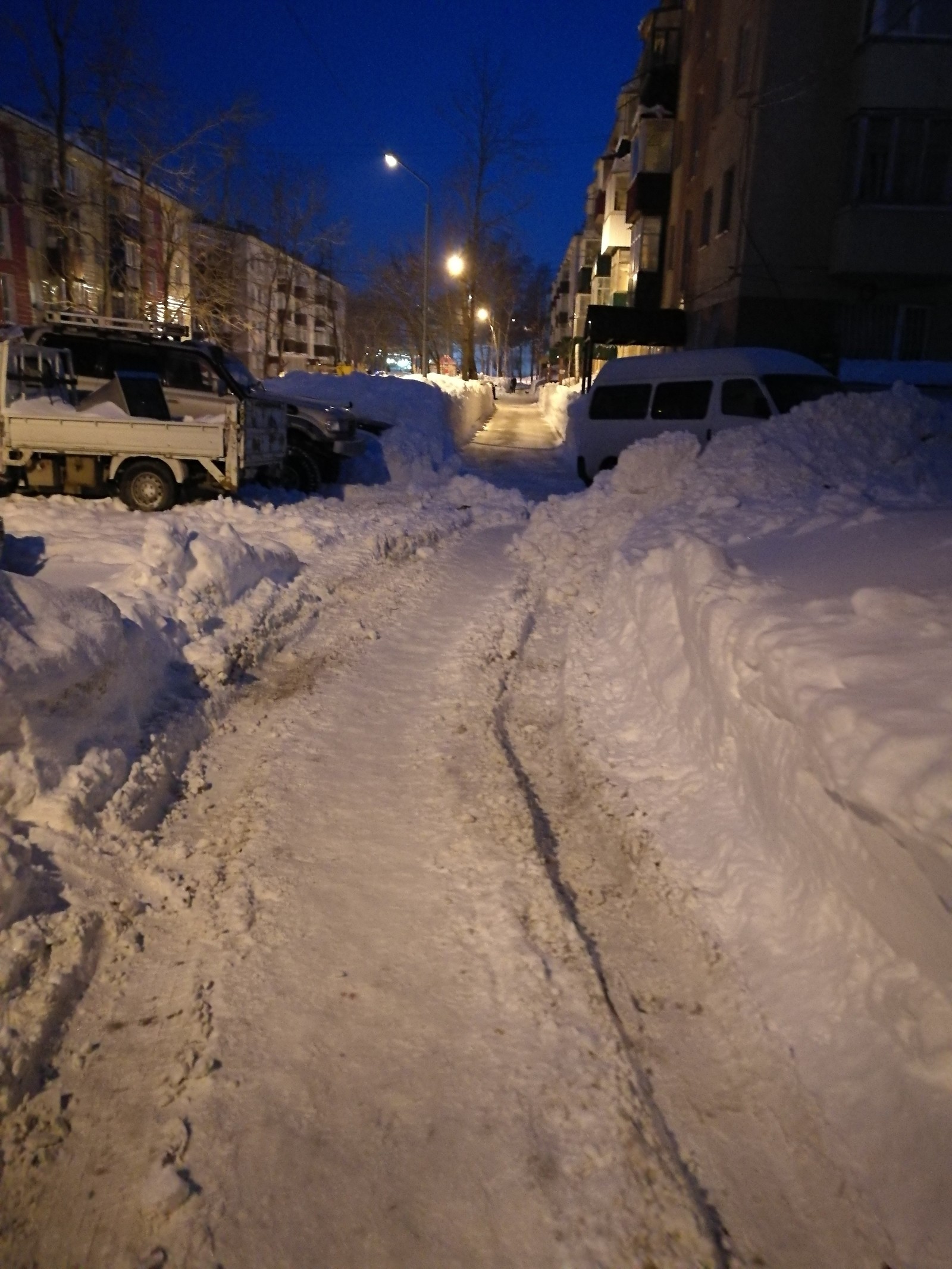 Not our territory - My, Sakhalin, Snow, Longpost