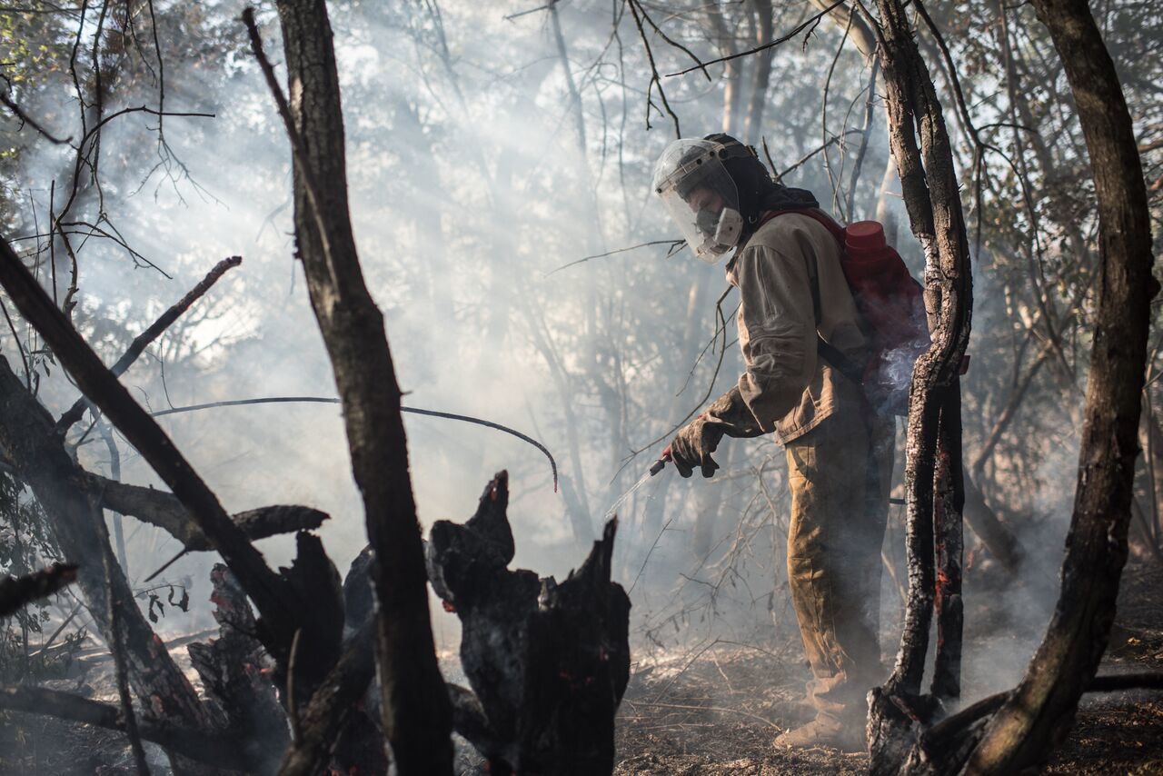 A Day in the Life of a Volunteer Firefighter - Forest fires, Extinguishing, Fire, The photo, Longpost, Negative