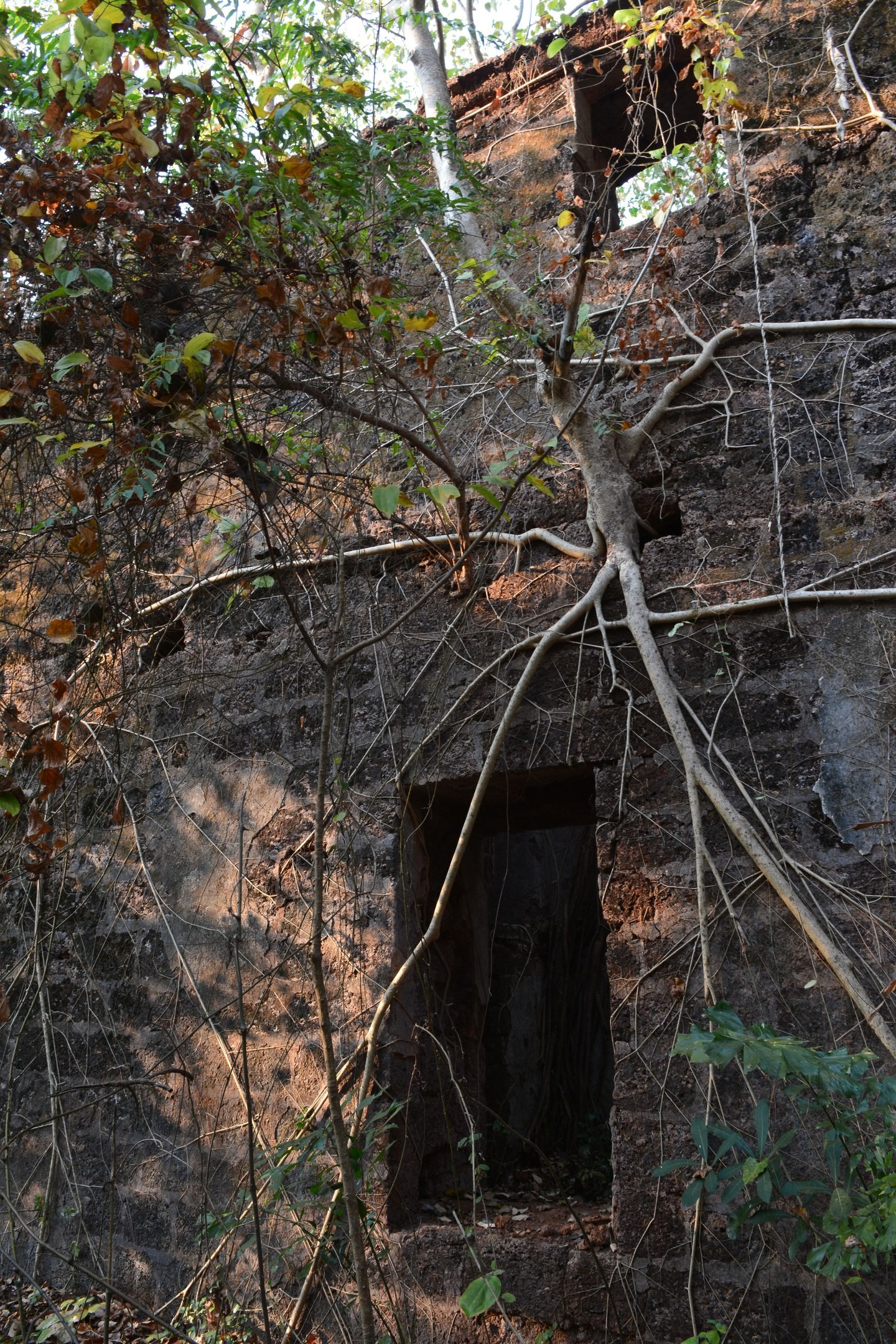 Jungle fort in north Goa - My, Travels, The photo, India, Goa, Abandoned, Fort, Longpost