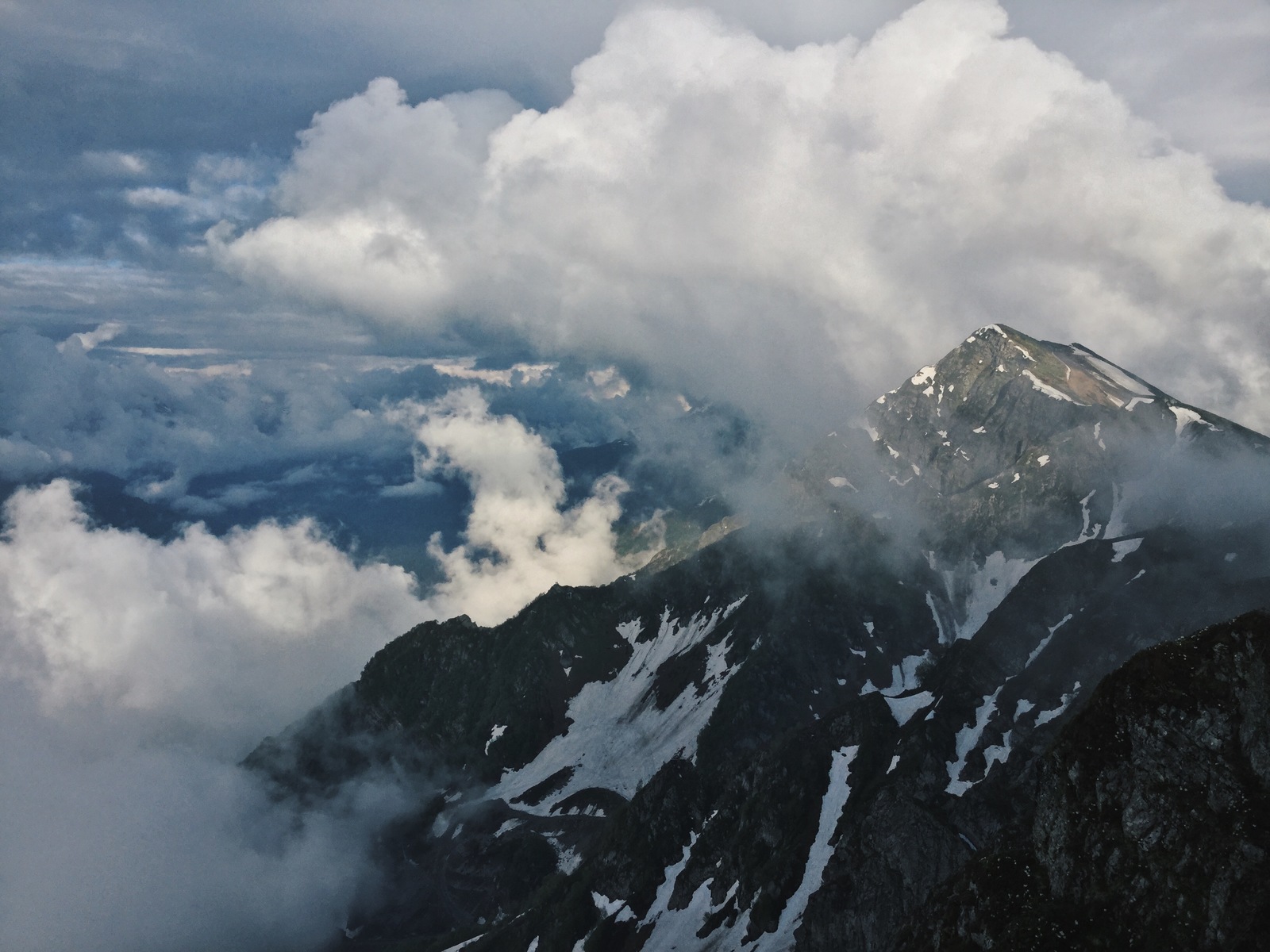 Rhododendrons in the mountains - My, Flowers, Russia, Sochi, The mountains, The photo, Longpost