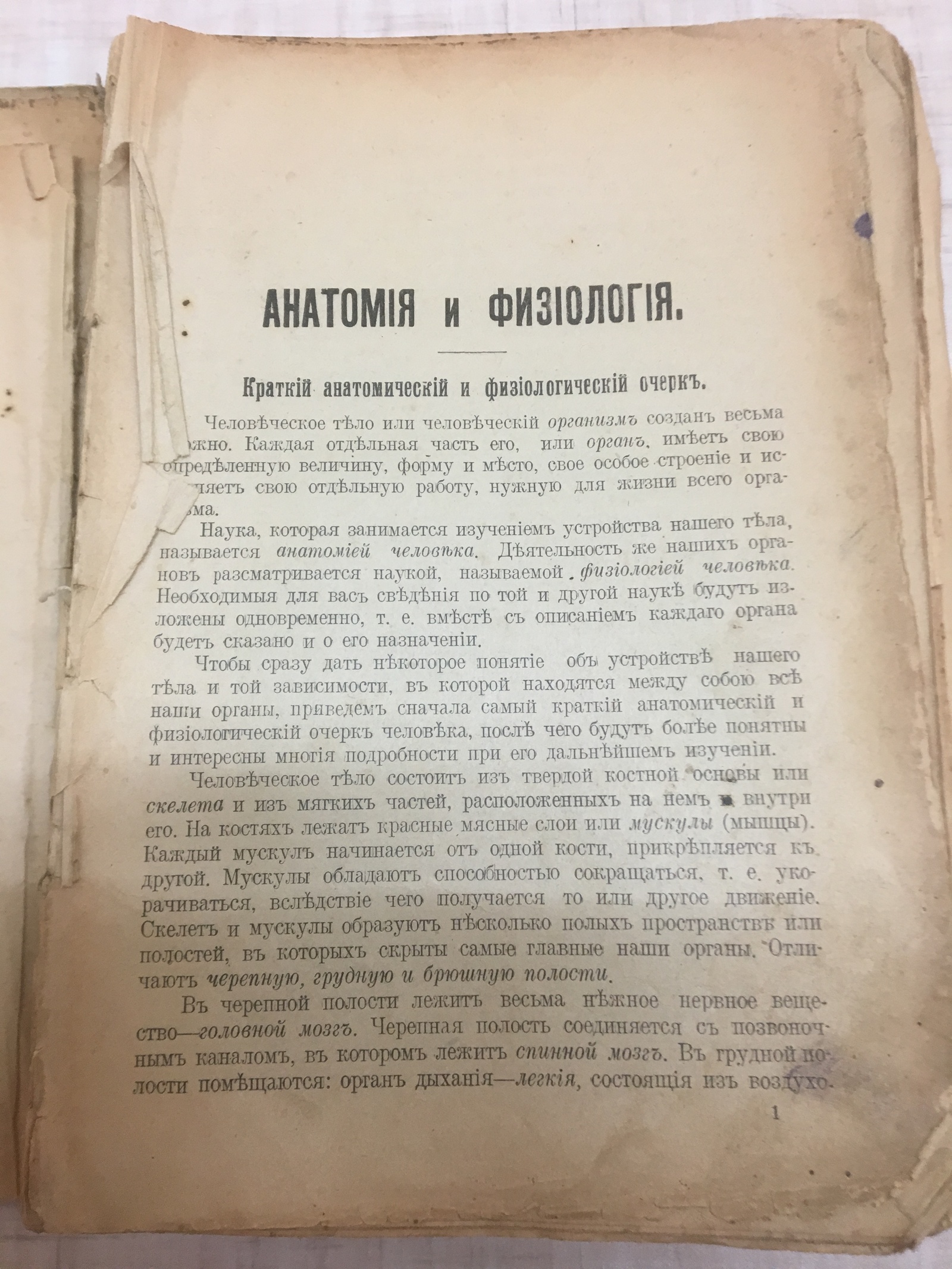 Старая книга. Руководство ротных фельдшеров. Анатомия и физиология - Моё, Книги, Старинные книги, Медицина, Длиннопост