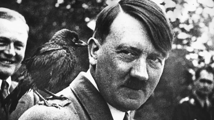 Pechkin, is that you? - Jackdaw, Adolf Gitler, Prostokvashino, Who's there