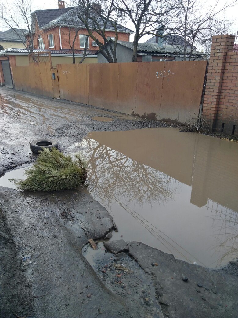 Rostov...pits...tree.... - My, Road, Pit, Rostov-on-Don