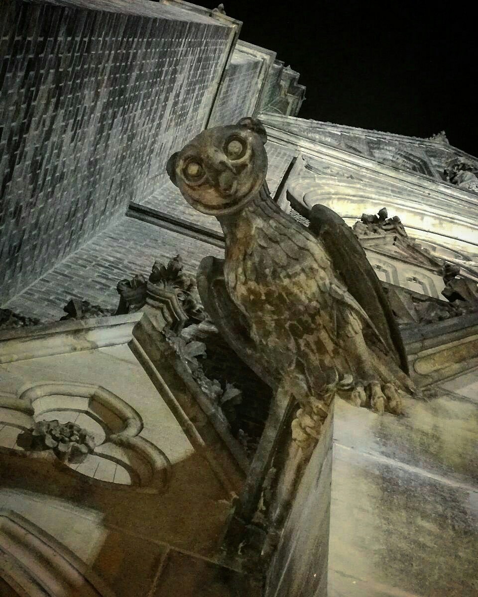 Coo-coo, man! - My, Owl, Gargoyle, Architecture, Night, Fear, Eyes, Chimera, Prague