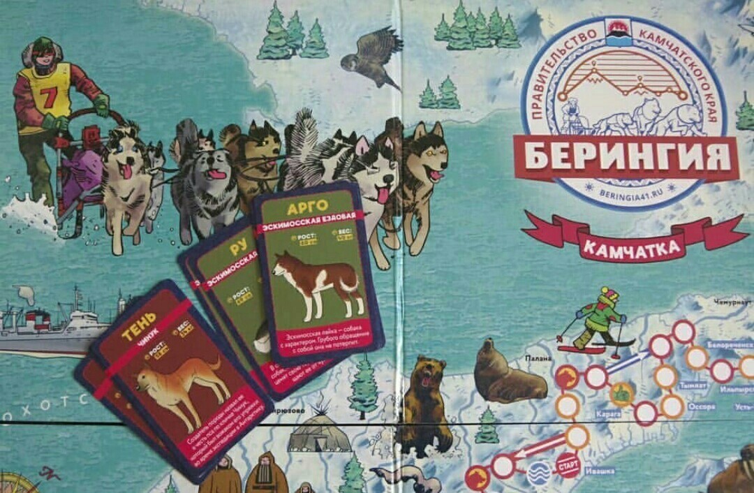 Beringia 2018. For the Guinness record. Start. - Husky, Kamchatka, The race, Dog sled, Beringia, Start, Guinness Book of Records, Longpost