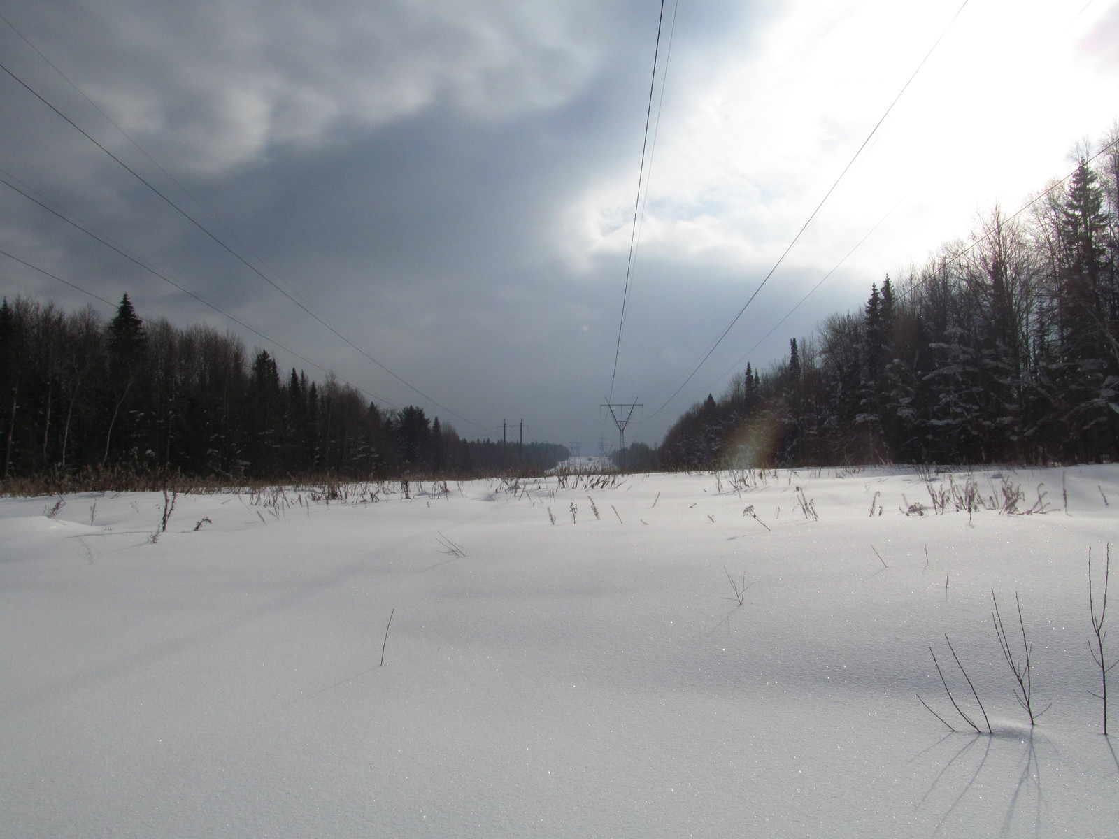 Right on the horizon! - My, Winter, Snow, Nature, , Walk