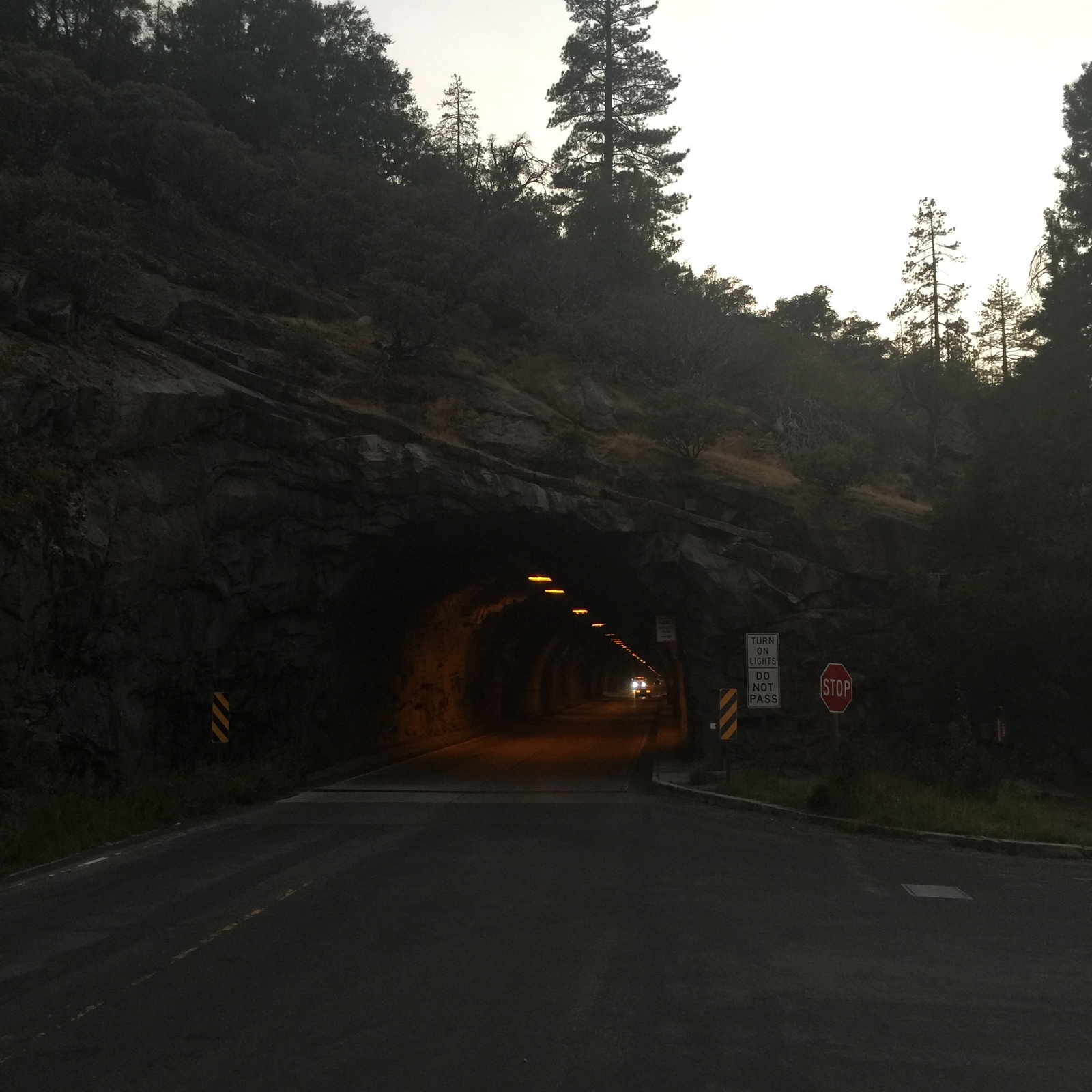 Yosemite National Park - My, USA, Travels, The photo, Yosemite, Iphone 7 plus, Longpost