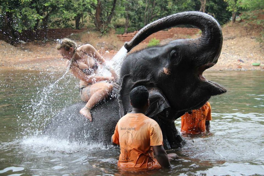 Refreshing shower - Elephants, Girls