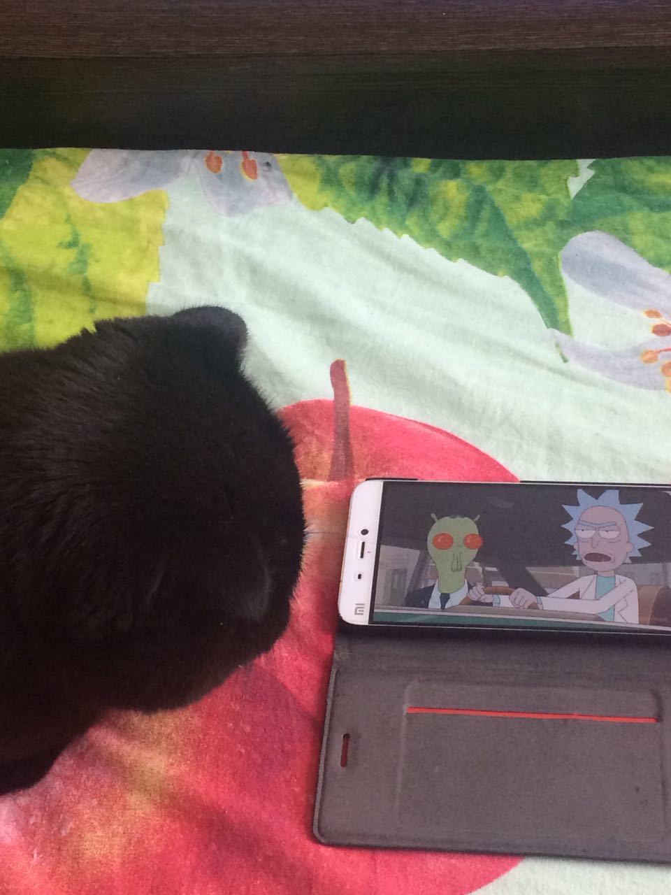 Cat, Rick and Morty - My, cat, Rick and Morty, Movies