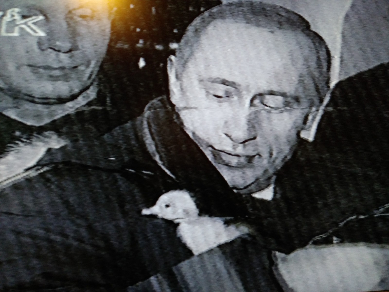 Ути путин картинка