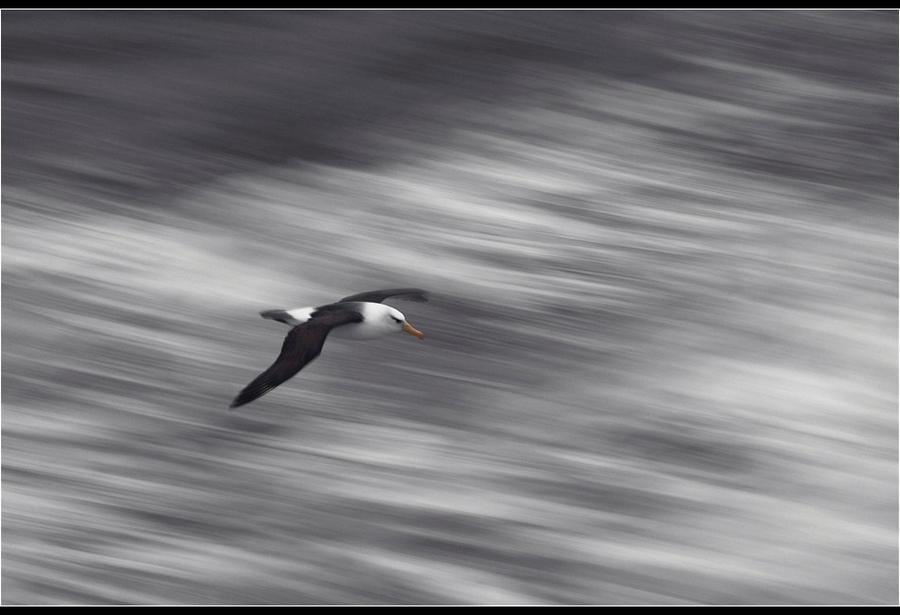 The Ross Sea through the eyes of documentary photographer John Weller. - Antarctica, , The photo, Longpost