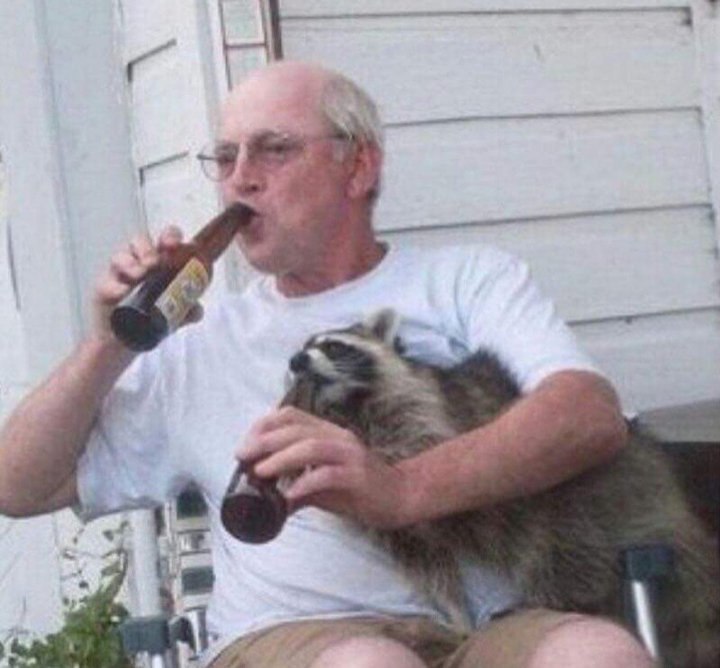 When you sit with your spirit animal - The male, Beer, Raccoon, Humor, Funny, Animals, Men