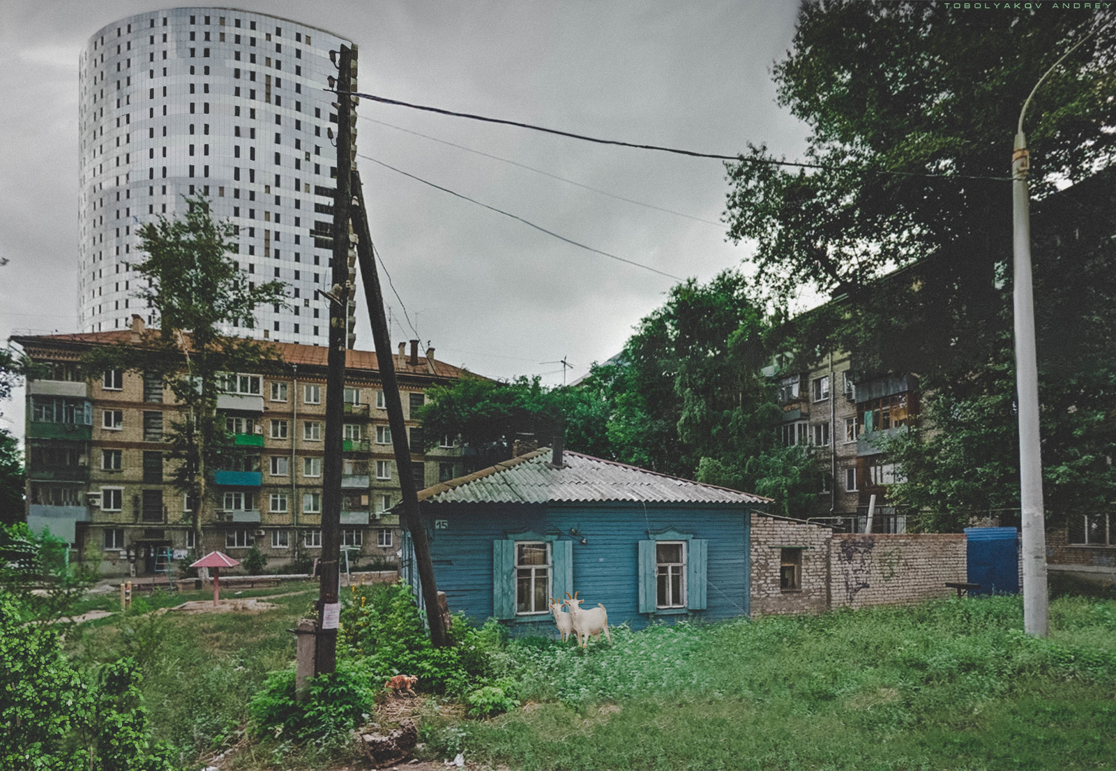 House in the village - My, Samara, Goat, House, dawn, cat