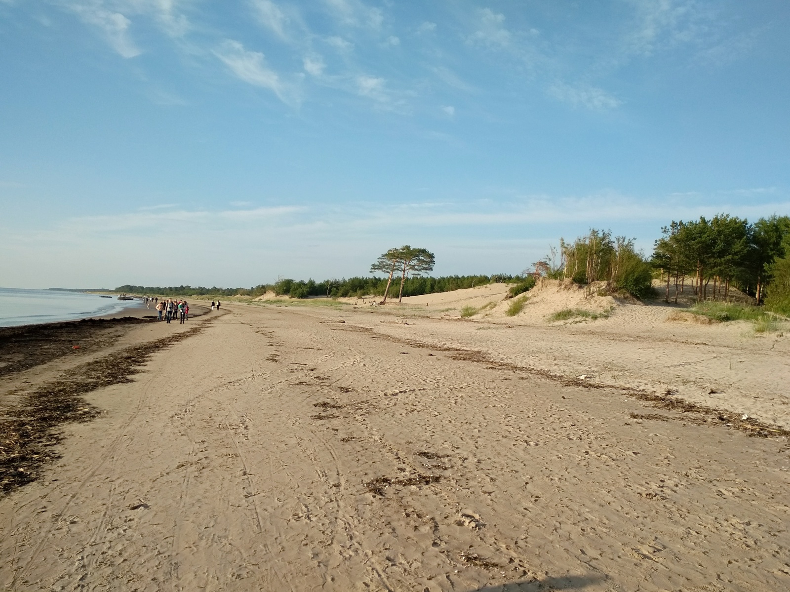 Северодвинск отлив сегодня. Белое море пляж. Северодвинск пляж.