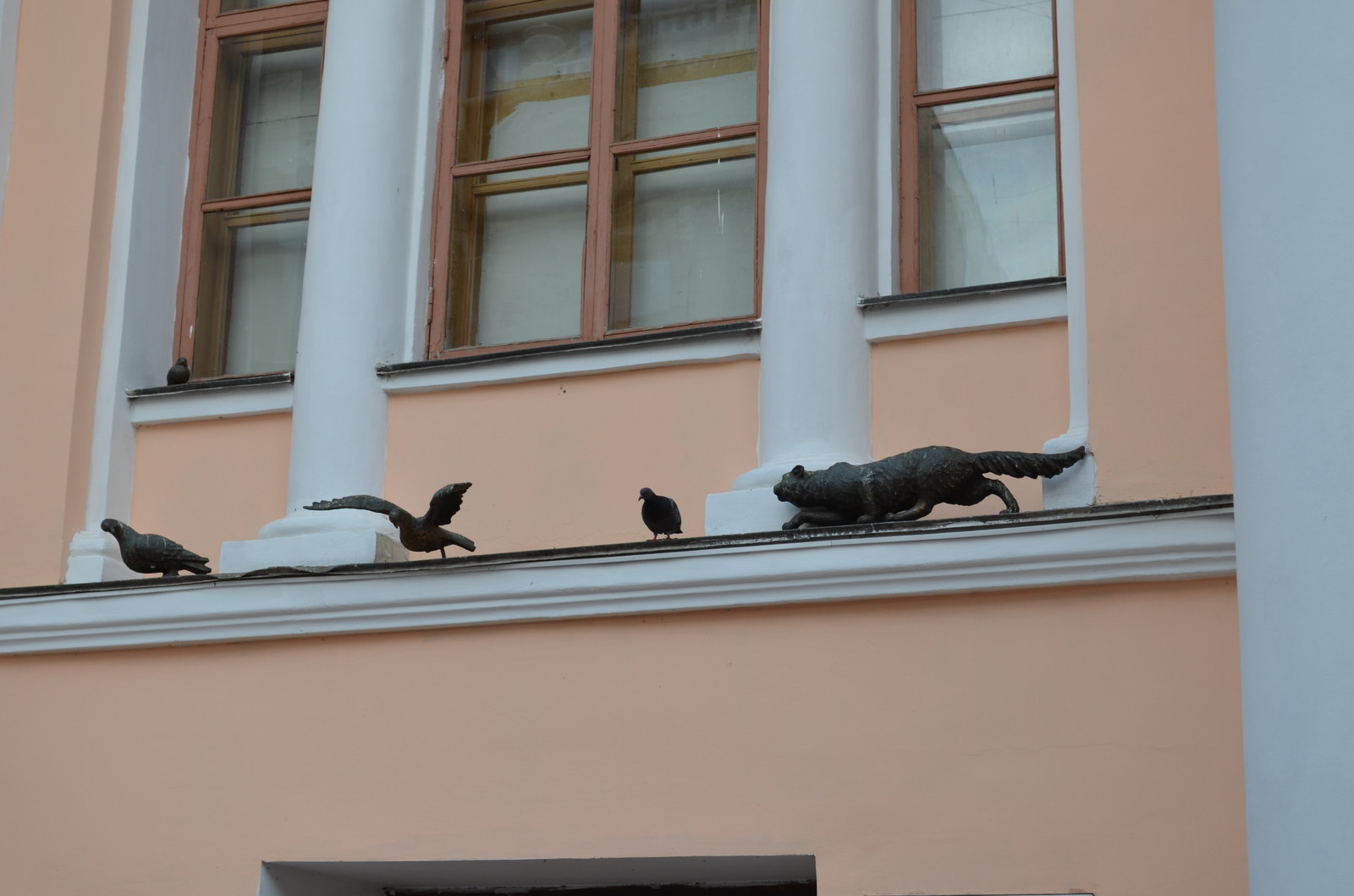 Nizhny Novgorod Theater School. Facade. - My, Nizhny Novgorod, Theatre, beauty, Longpost, cat, Pigeon