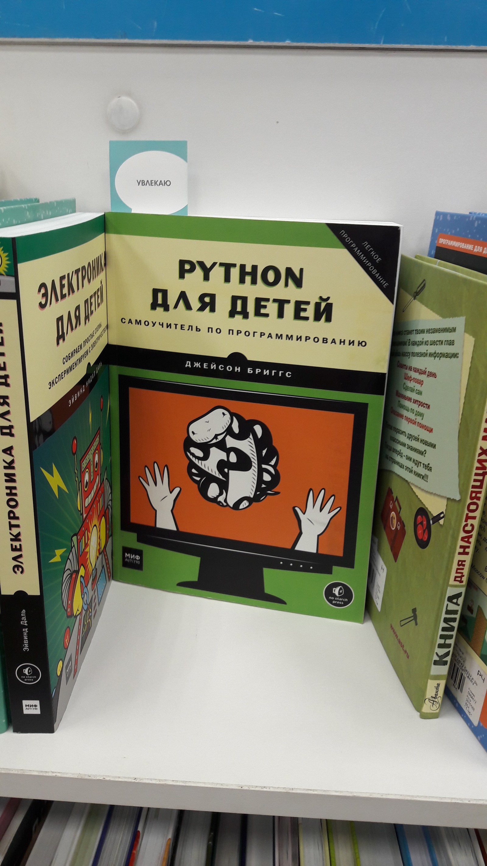 Python for kids. - My, Programming, Children