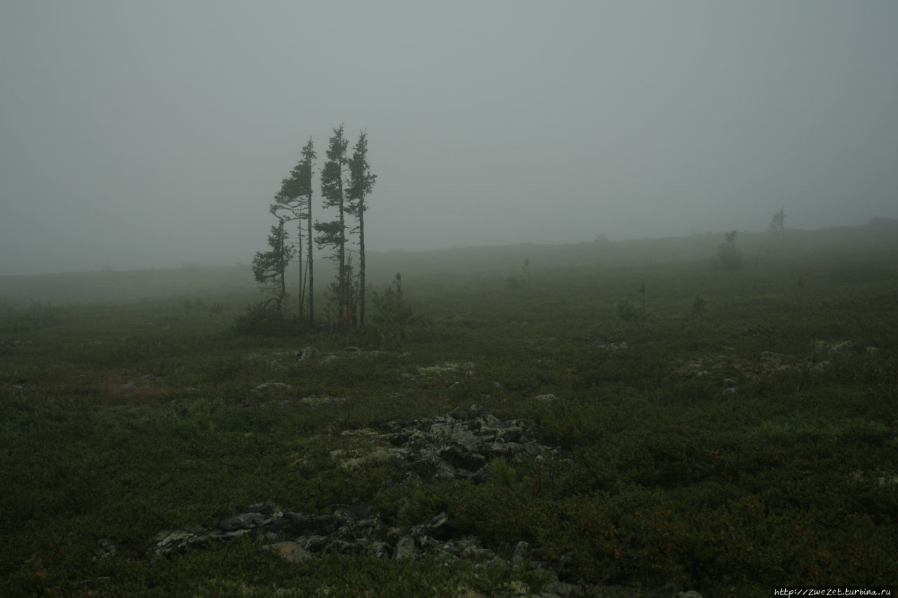 Dyatlov Pass - the most mysterious place in Russia - My, Dyatlov Pass, Hike, Tourism, Hiking, Northern Ural, Video, Longpost, The photo