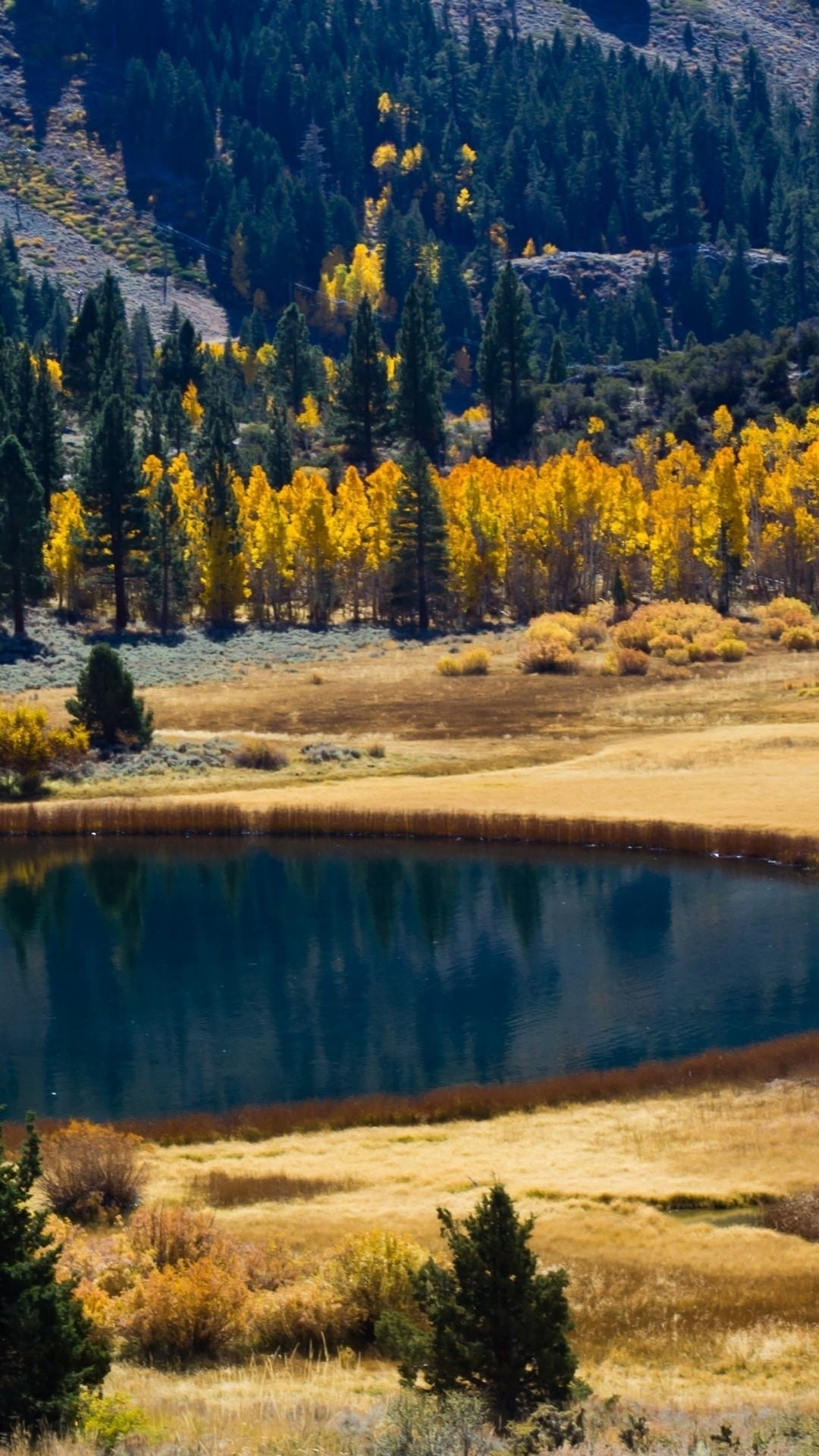 Beauty of nature (The unique charm of cities) - The photo, Nature, Longpost