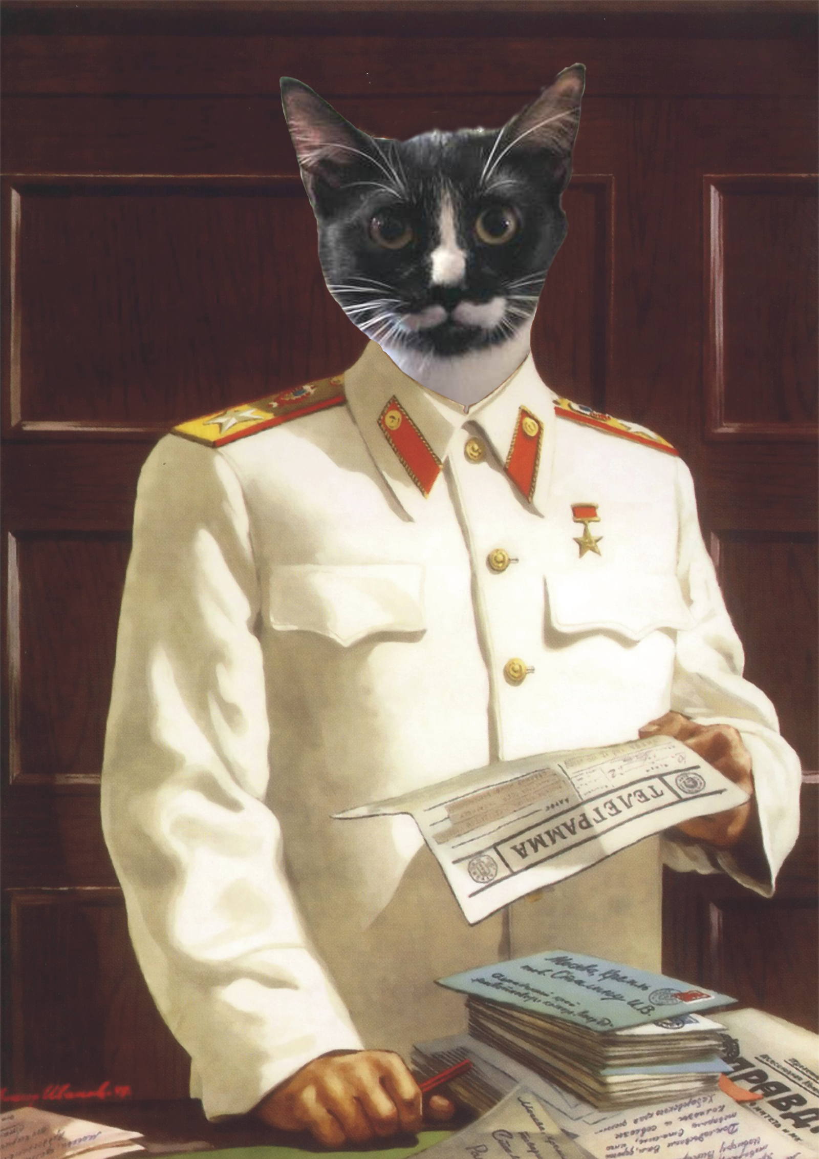 Comrade Cat - My, Stalin, Humor, cat