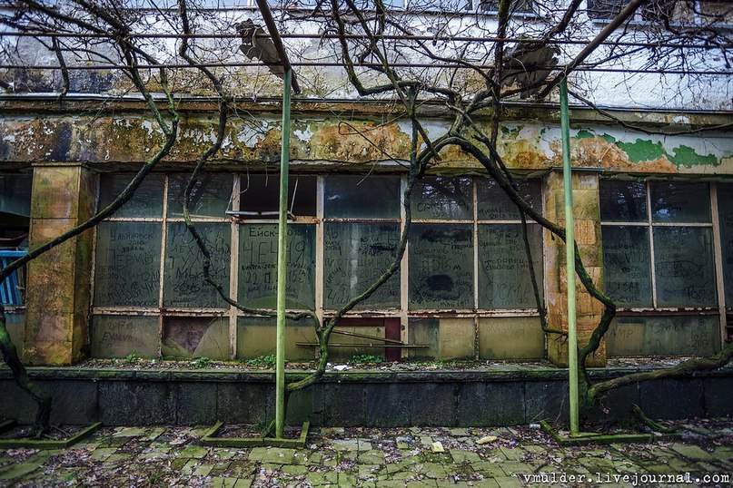 Abandoned pioneer camp in the Caucasus - life after people - Abandoned, Camp, the USSR, Atmospheric, Longpost, Pioneer camp, Caucasus, The photo