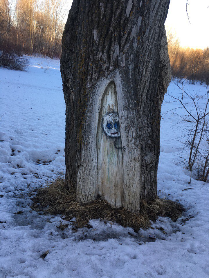 We walked in Tomsk in the Botanical Garden and saw such cool art. - Tomsk, Botanical Garden, Art