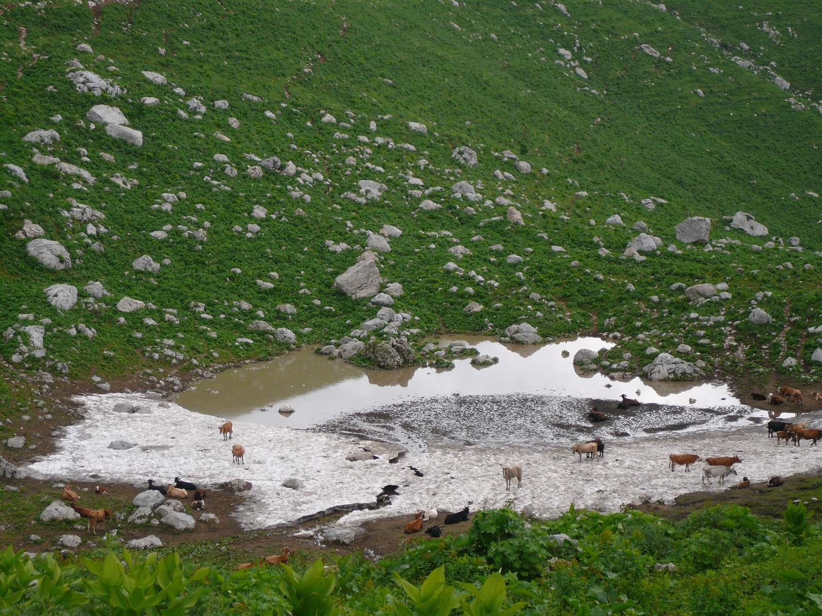 Against wool. - My, Bike ride, Mountain tourism, Longpost