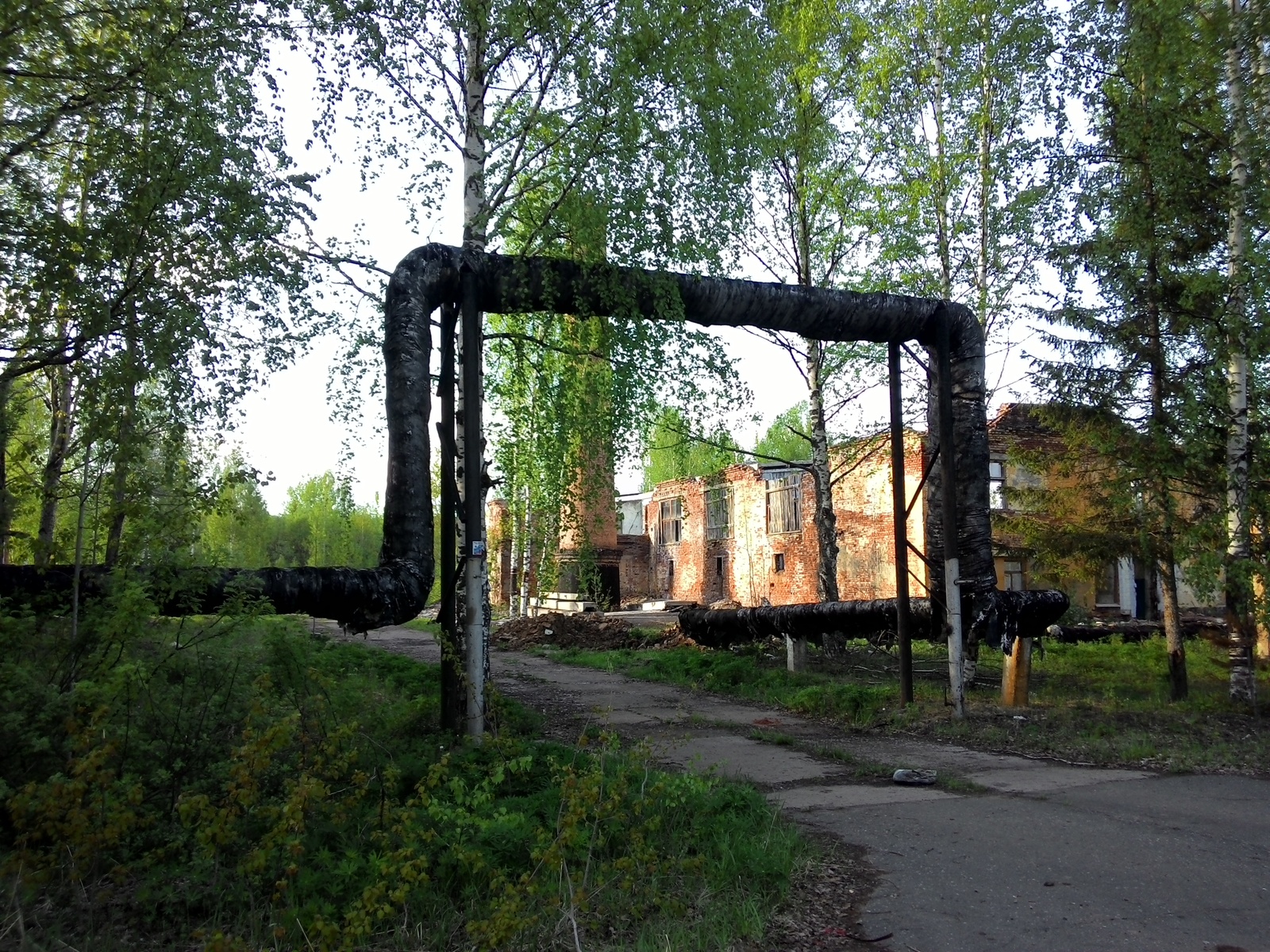 Заброшенный городок - Моё, Заброшенное, Доступное жилье, Длиннопост, Фотография