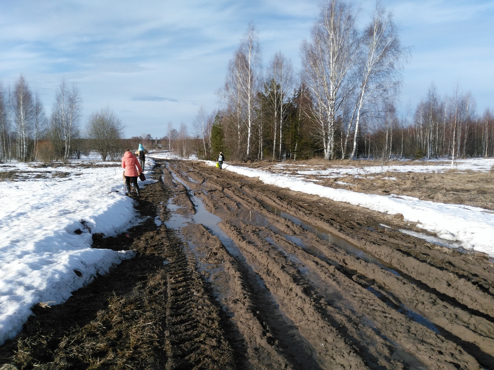 About the road and the fool... - My, Road, Ivanovo, , Village, Fools, cat, Legal consultation, Longpost, Legal aid