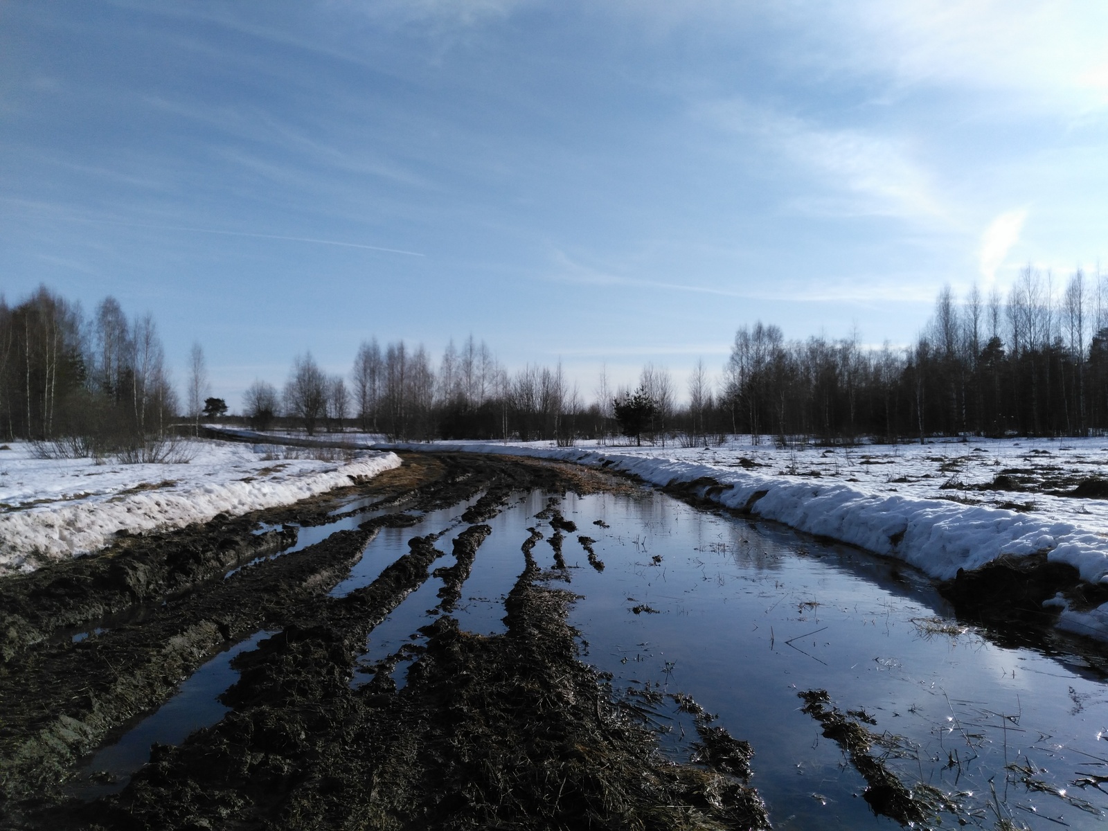 About the road and the fool... - My, Road, Ivanovo, , Village, Fools, cat, Legal consultation, Longpost, Legal aid