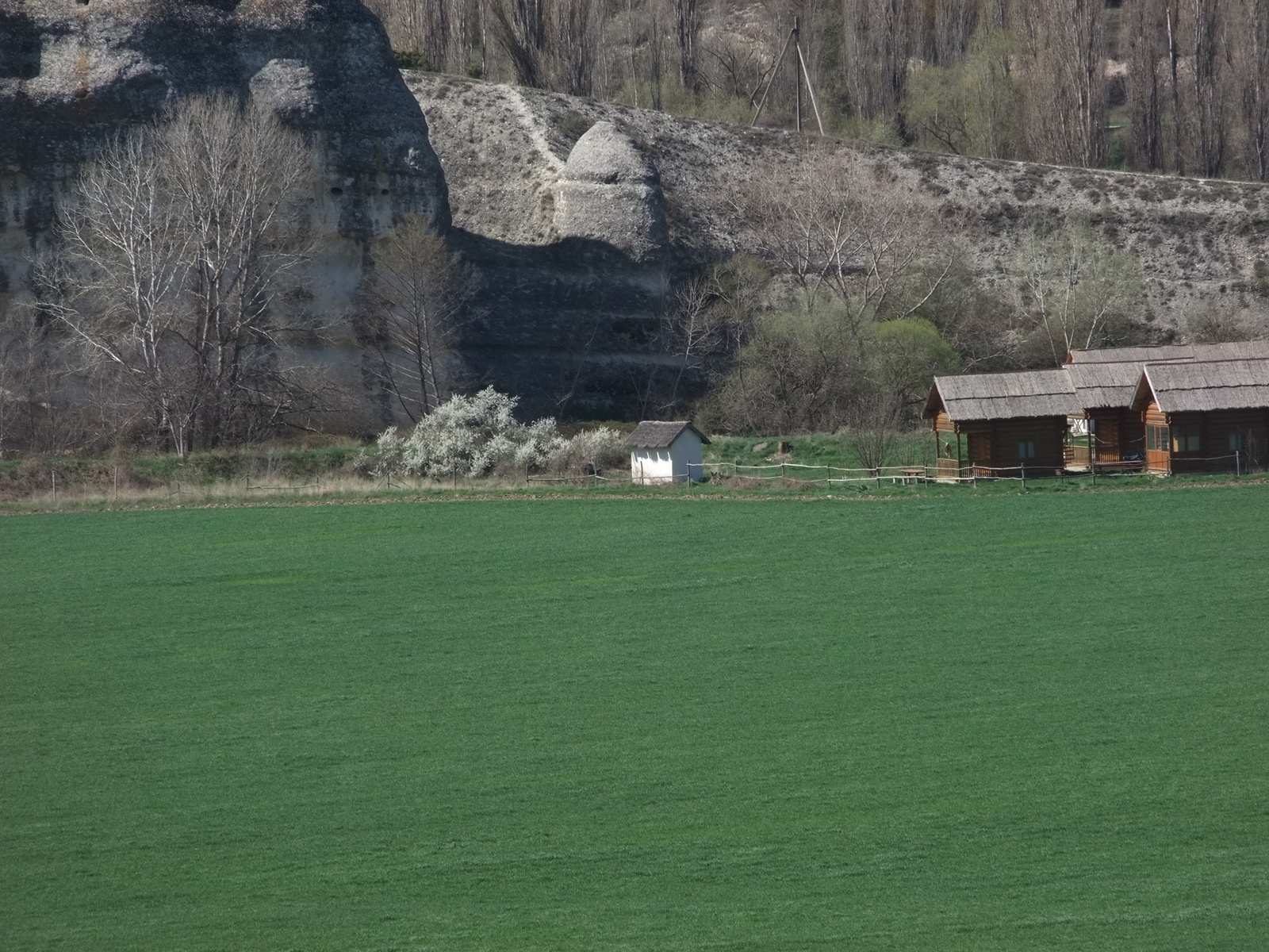 Look, boar pass - My, Crimea, , , Longpost, The photo