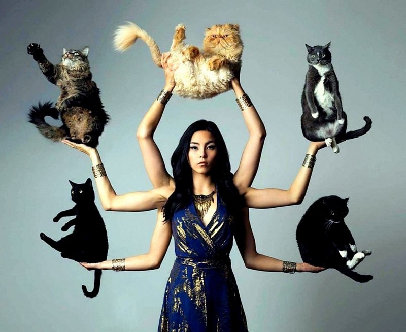 If I were a goddess, then, probably, such - cat, Catomafia, Goddess