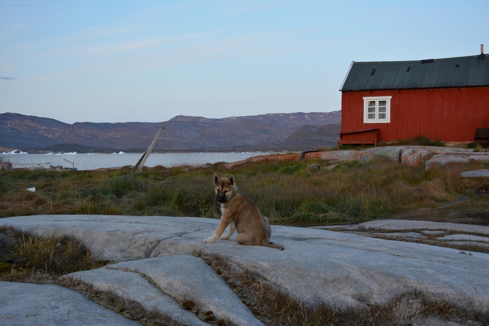 Independent trip to Greenland. Ilulissat. Seal hunting and hiking to the Ice Fjord - My, Tourism, Greenland, Ilulissat, The photo, Travels, Iceberg, Whale, Fishing, Longpost