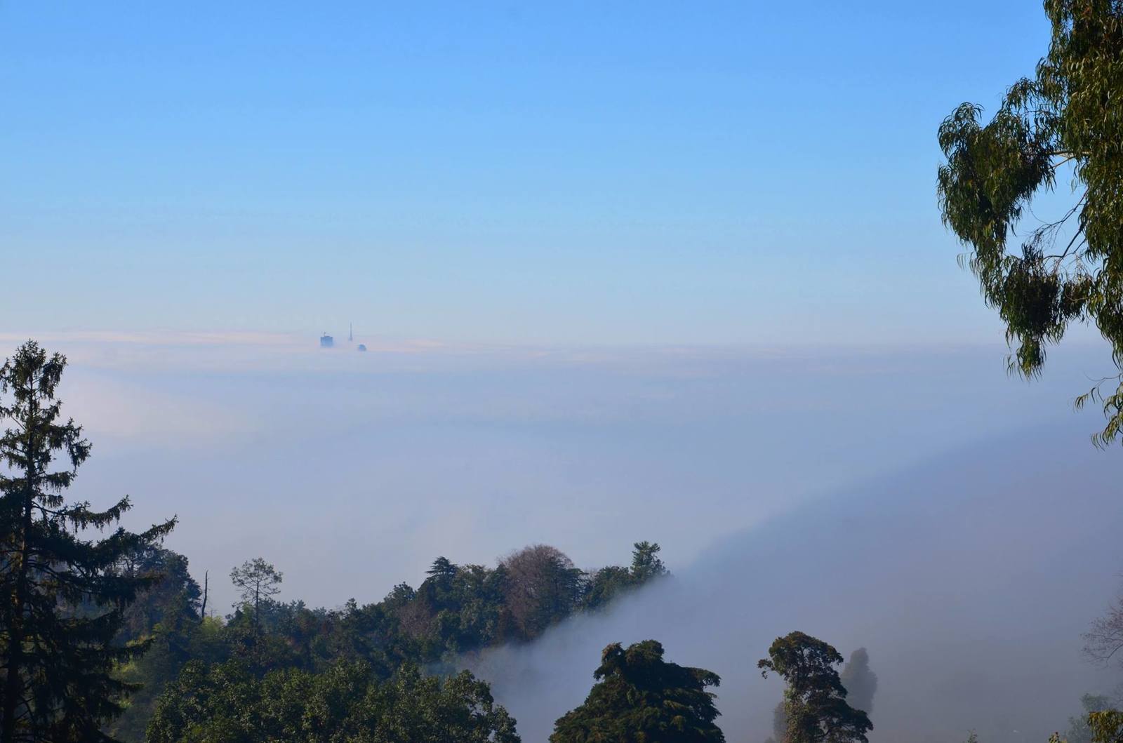 Fog - Georgia, Batumi, Fog, The photo, Longpost