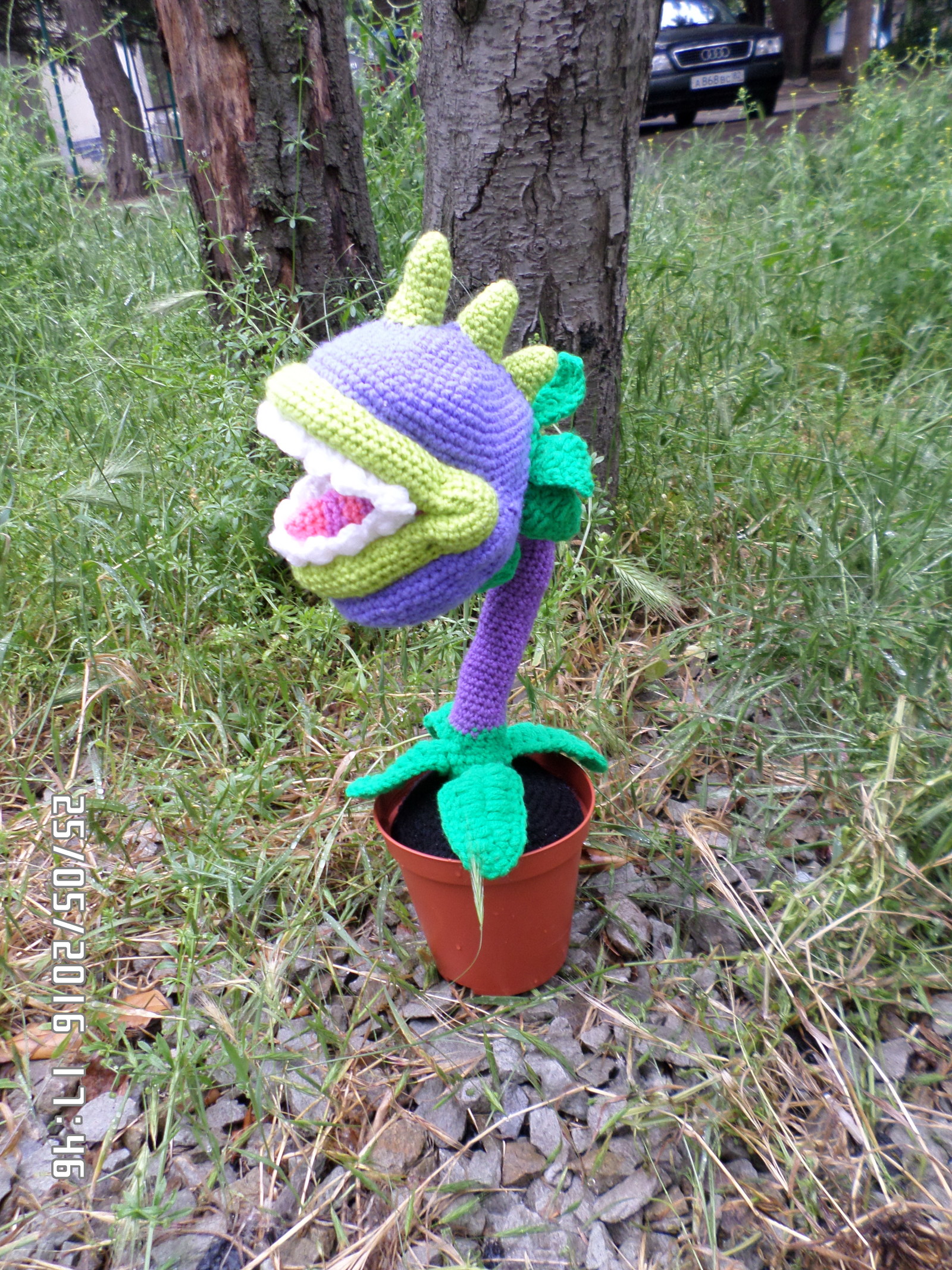 Plants versus Zombies. - My, Crochet, Knitting, Knitted toys, Needlework without process, Longpost, Plants vs Zombies, 