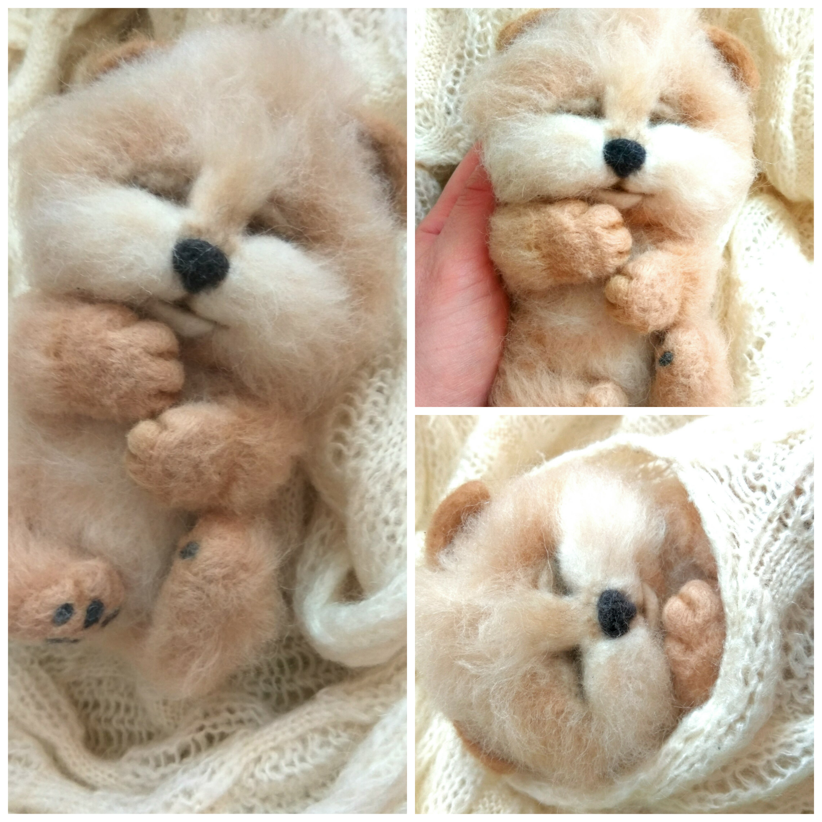 Spitz puppy Syoma. Made from wool. Dry felting, felting. - My, Spitz, Dry felting, Handmade, With your own hands, Dog, Longpost