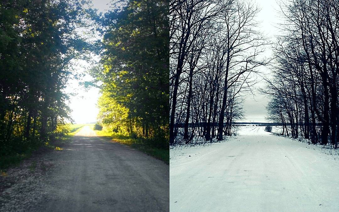 Summer VS Winter - Моё, Лето, Зима, Лес, Поле, Природа, Снег, Небо, Фотография, Длиннопост