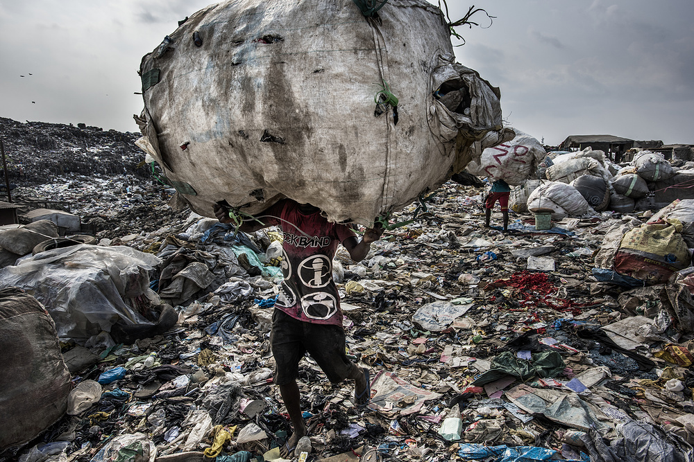 World Press Photo 2018 Winners - The photo, Competition, Amsterdam, Photographer, Animals, African American, Longpost, Blacks