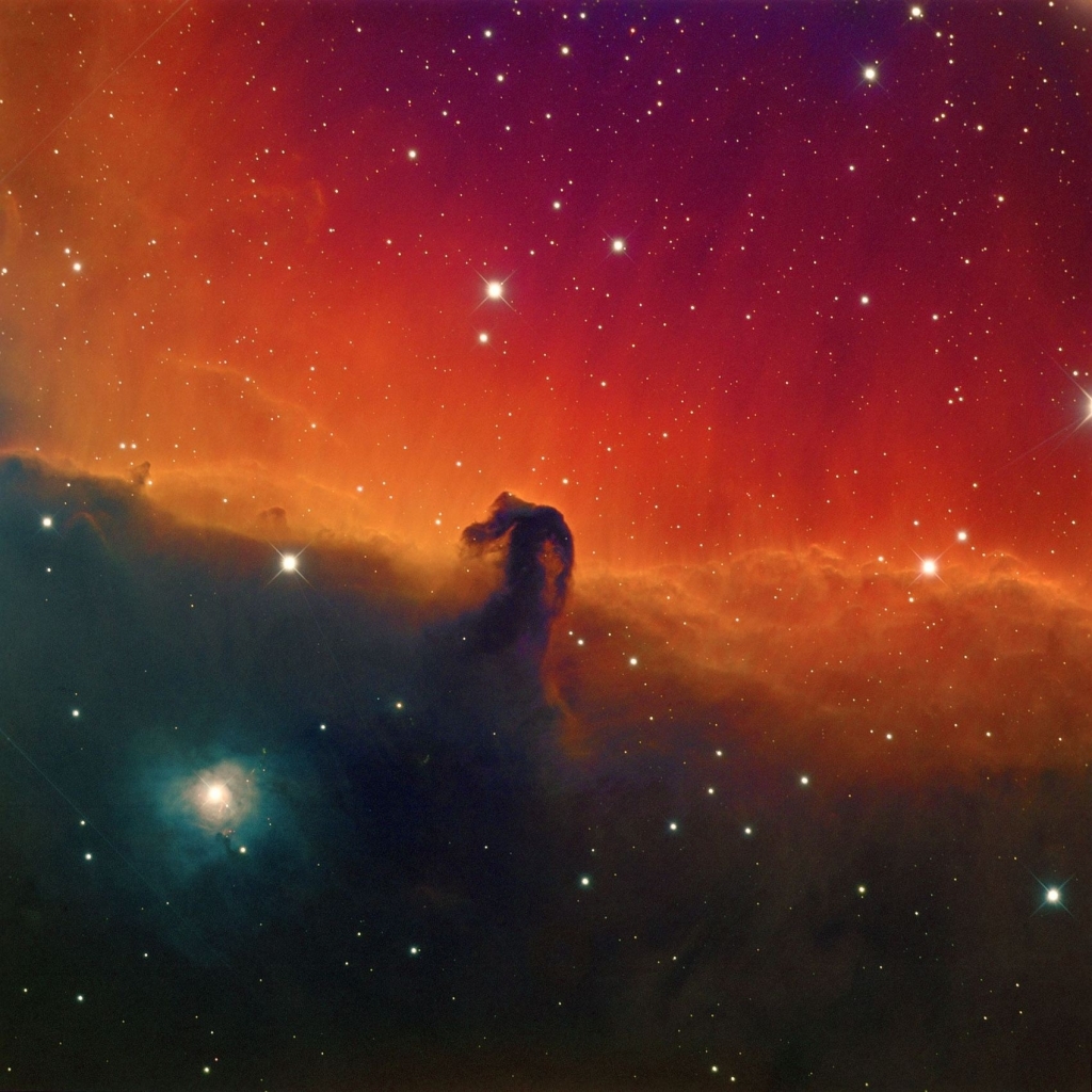 Horse head nebula - Space, Orion nebula, Horse head nebula, Longpost