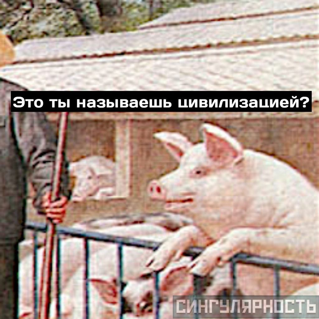 Philosopher Pig - My, Reflections, Pig, Comics, VK group, Meaning, With meaning, Longpost, Singularity comics, Thoughts, Public