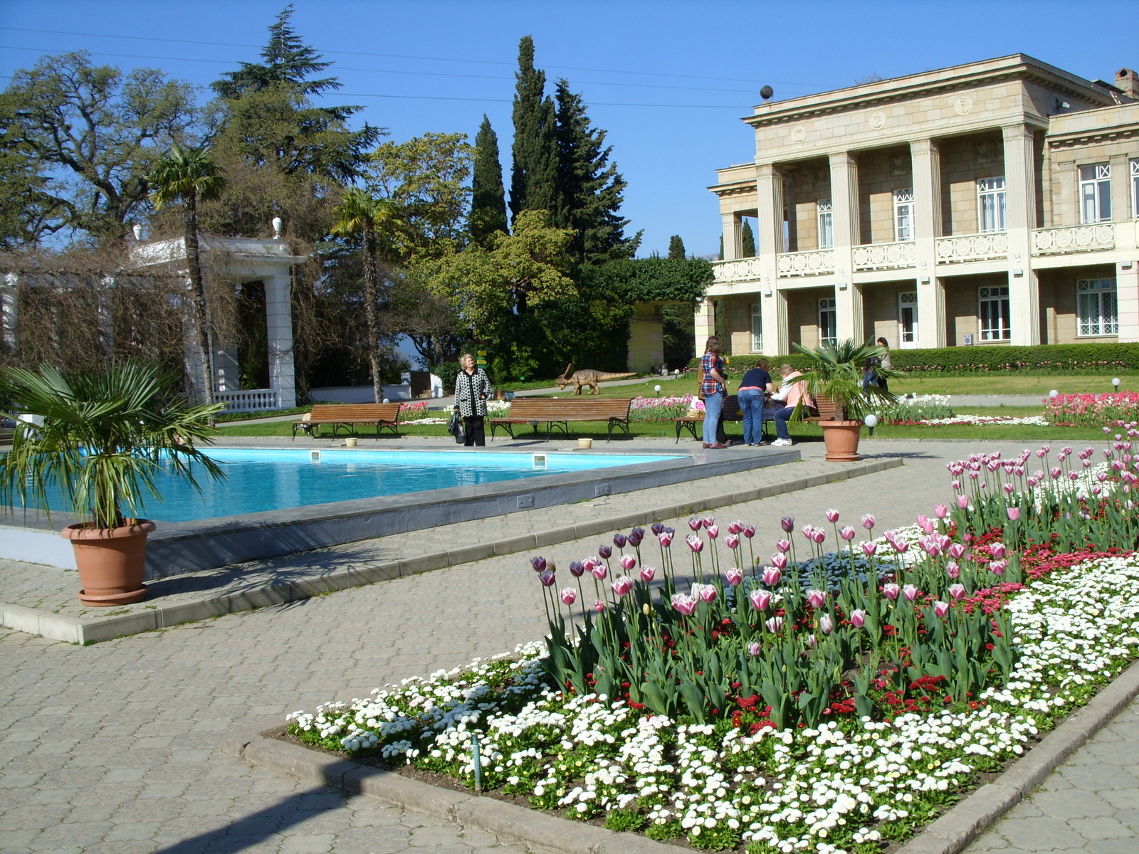 Nikitsky Botanical Garden. - My, Nikitsky Botanical Garden, Tulip Festival, Yalta, Longpost