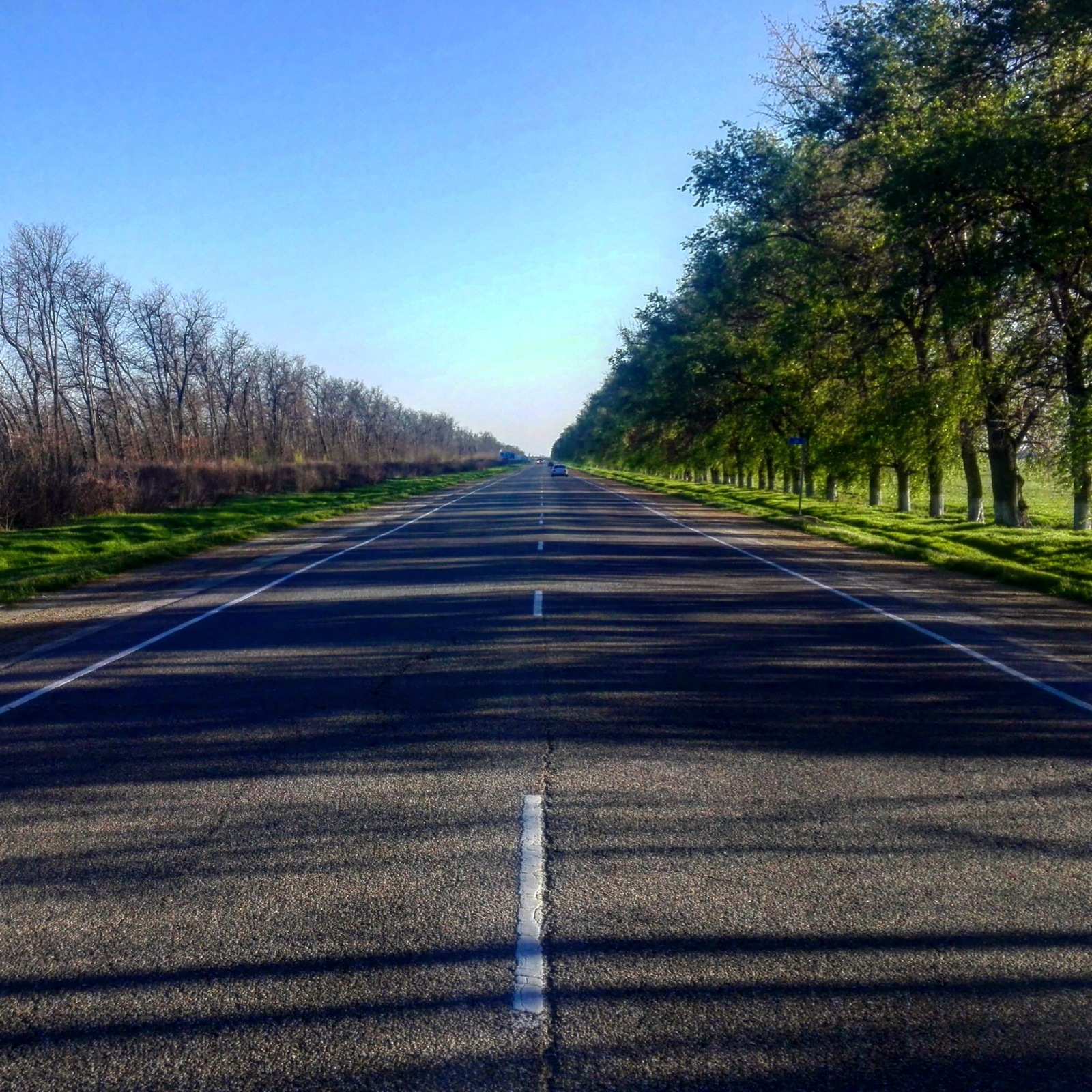 The border between the world of the living and the world of the dead. - My, The photo, The border, Spring