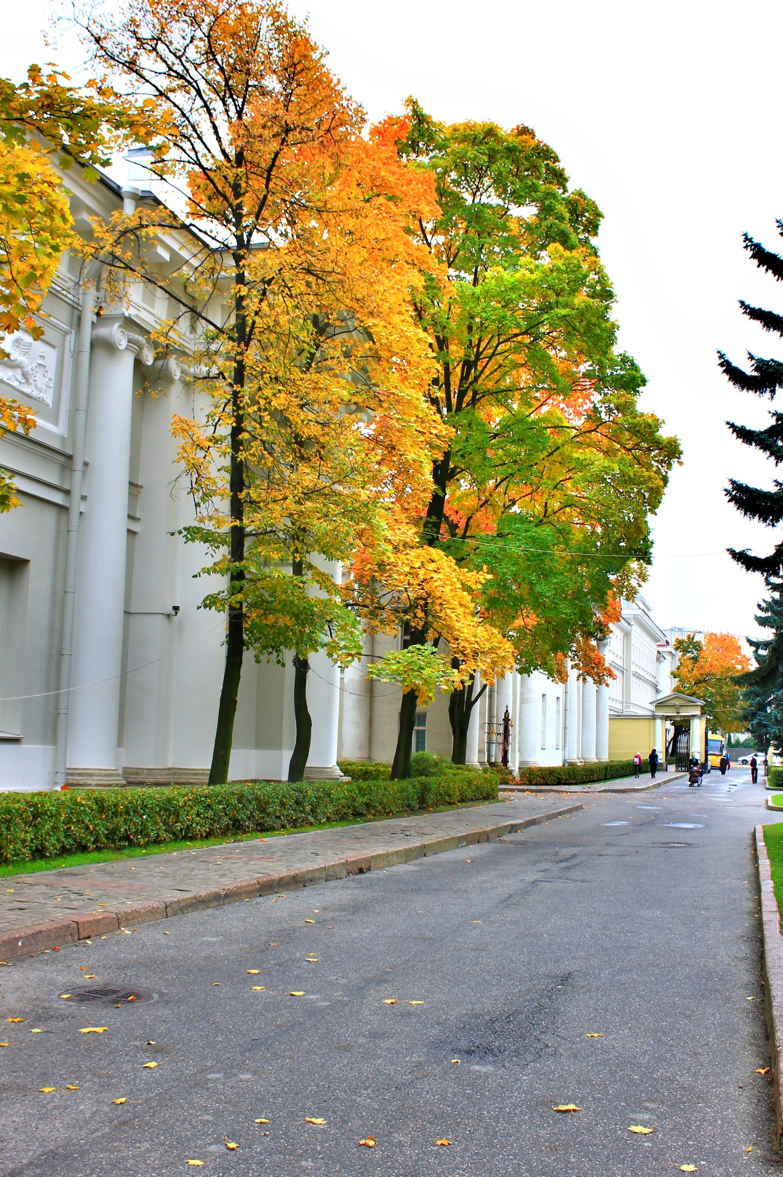 Осенние ПРОгулки - Моё, Санкт-Петербург, Дворы Петербурга, Осень, Длиннопост, Двор