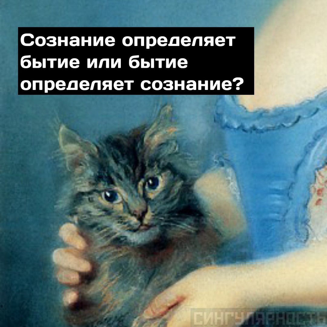 What are the cats thinking? - My, VK group, Humor, Comics, Painting, Longpost, Singularity comics, cat, Public